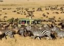 What are the benefits of doing African safari?
