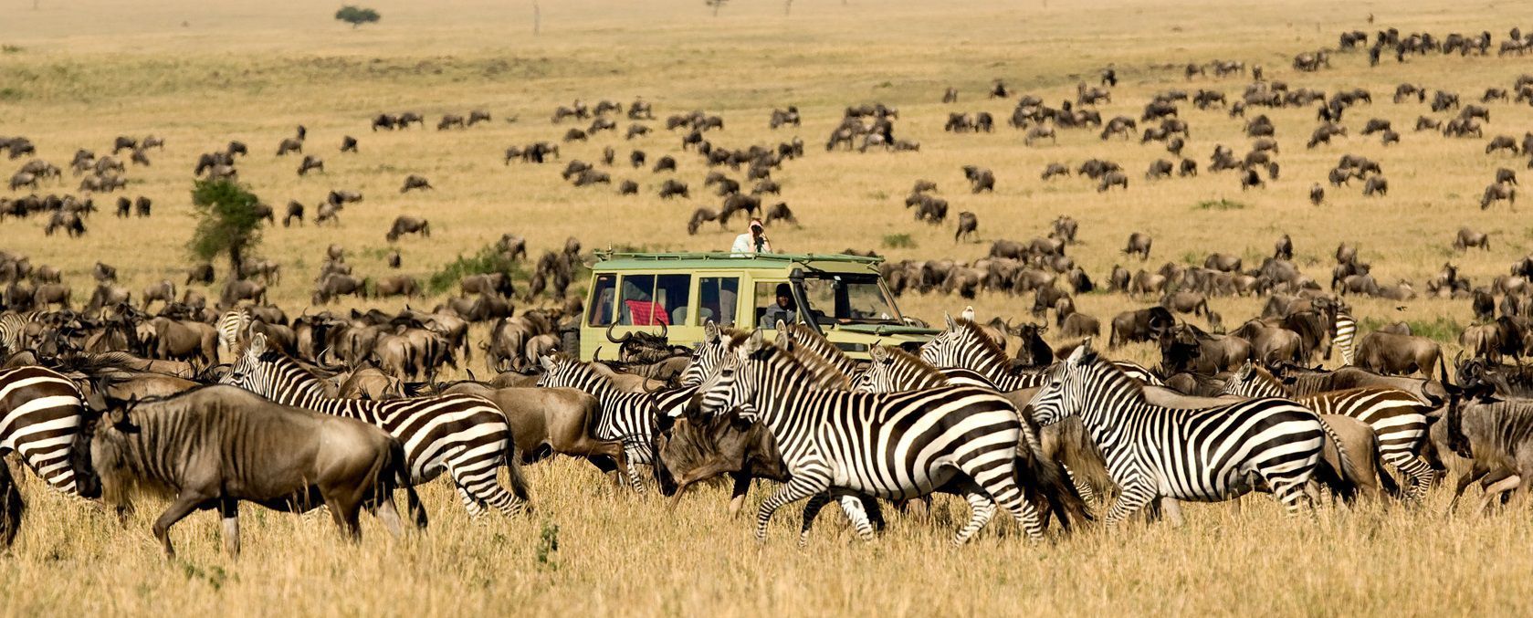 What are the benefits of doing African safari?