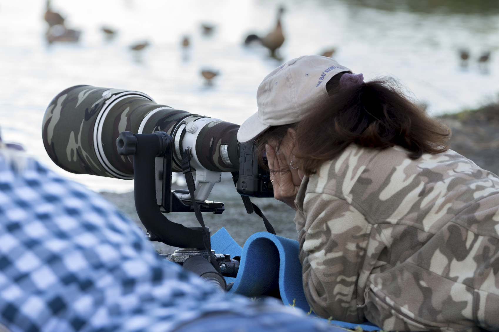 Requirements for a career as a wildlife photographer